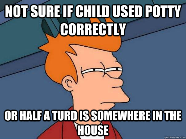 Not sure if child used potty correctly Or half a turd is somewhere in the house  Futurama Fry