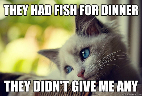 They had fish for dinner
 They didn't give me any  First World Problems Cat