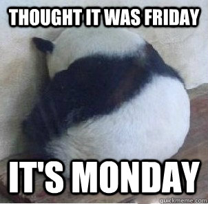 Thought it was Friday it's monday - Thought it was Friday it's monday  Depressed Panda