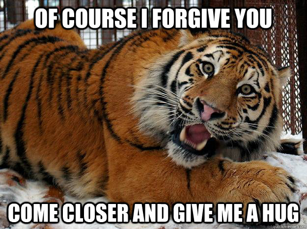 Of course i forgive you Come closer and give me a hug - Of course i forgive you Come closer and give me a hug  Fascinated Tiger