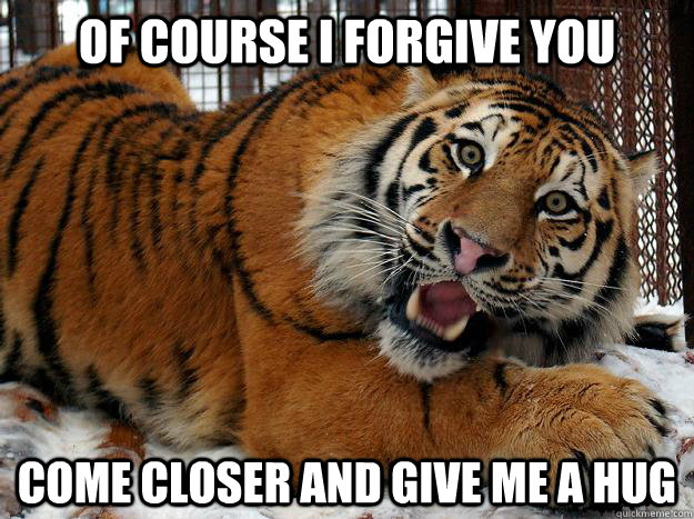 Of course i forgive you Come closer and give me a hug  Fascinated Tiger
