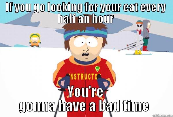 IF YOU GO LOOKING FOR YOUR CAT EVERY HALF AN HOUR YOU'RE GONNA HAVE A BAD TIME  Super Cool Ski Instructor