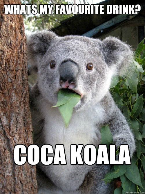 Whats my favourite drink? Coca Koala  Surprised Koala