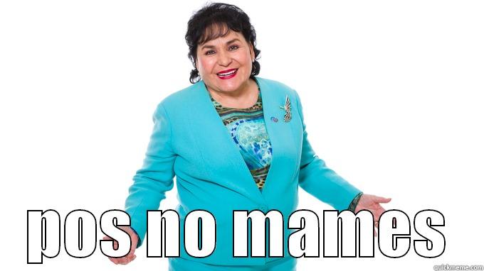 Carmelita salinas -  POS NO MAMES Misc