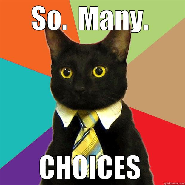 SO.  MANY. CHOICES Business Cat
