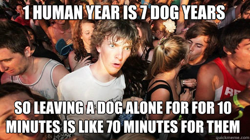 1 human year is 7 dog years  So leaving a dog alone for for 10 minutes is like 70 minutes for them  Sudden Clarity Clarence