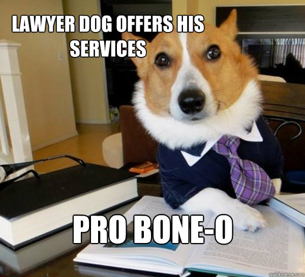 lawyer dog offers his services Pro Bone-o  Lawyer Dog