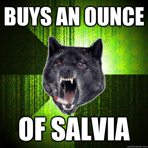 Buys an ounce Of salvia   