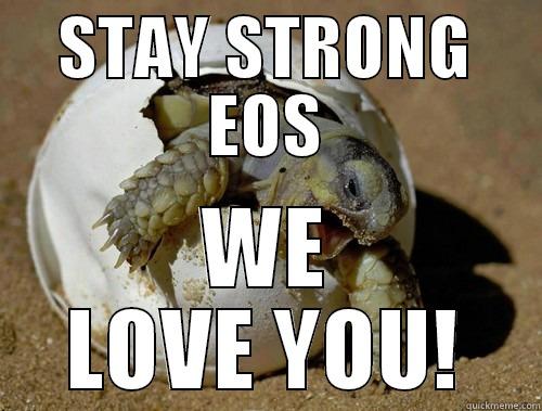 STAY STRONG EOS WE LOVE YOU! Misc