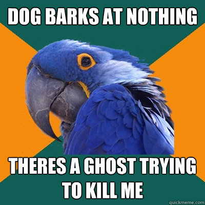 Dog barks at nothing Theres a ghost trying to kill me - Dog barks at nothing Theres a ghost trying to kill me  Paranoid Parrot