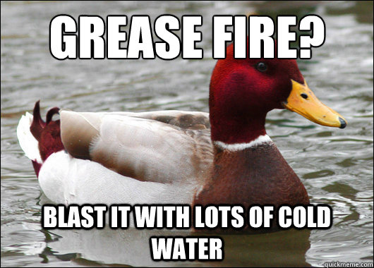 Grease Fire?
 Blast it with lots of cold water  Malicious Advice Mallard