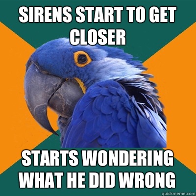 Sirens start to get closer Starts wondering what he did wrong  Paranoid Parrot