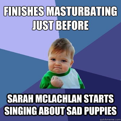 Finishes masturbating just before Sarah McLachlan starts singing about sad puppies - Finishes masturbating just before Sarah McLachlan starts singing about sad puppies  Success Kid