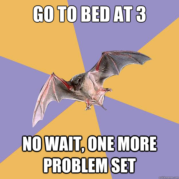 go to bed at 3 no wait, one more problem set  Engineering Major Bat