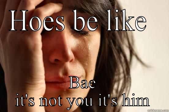 HOES BE LIKE  BAE IT'S NOT YOU IT'S HIM First World Problems
