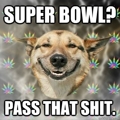 Super Bowl? Pass that shit.  Stoner Dog
