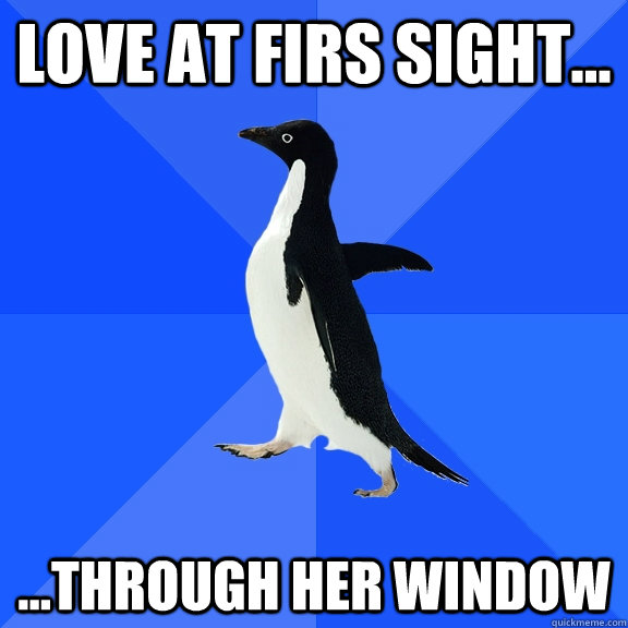 Love at firs sight... ...through her window  Socially Awkward Penguin