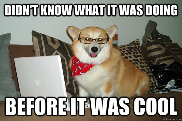 didn't know what it was doing before it was cool - didn't know what it was doing before it was cool  Hipster corgi