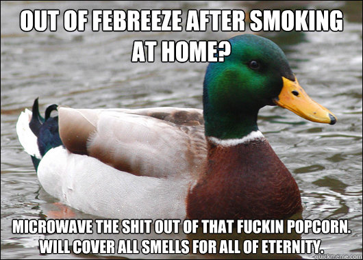 out of febreeze after smoking at home? microwave the shit out of that fuckin popcorn. will cover all smells for all of eternity.  Actual Advice Mallard