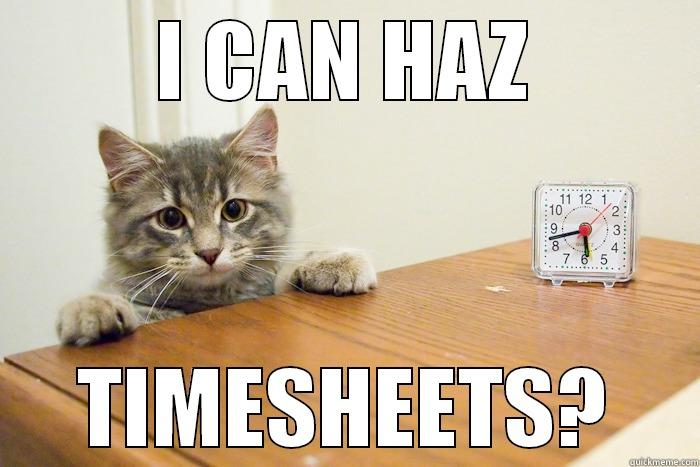 clocky cat - I CAN HAZ TIMESHEETS? Misc