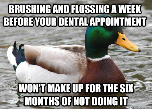 BRUSHING and flossing a week before your dental appointment won't make up for the six months of not doing it - BRUSHING and flossing a week before your dental appointment won't make up for the six months of not doing it  Actual Advice Mallard
