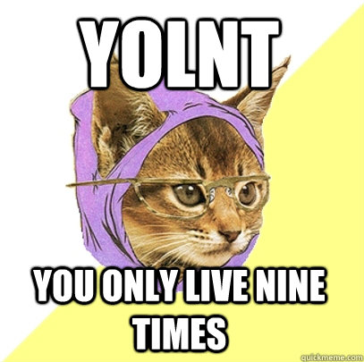 YOLNT YOU ONLY LIVE NINE TIMES  Hipster Kitty