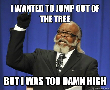 I wanted to jump out of 
the tree but i was too damn high  Too Damn High