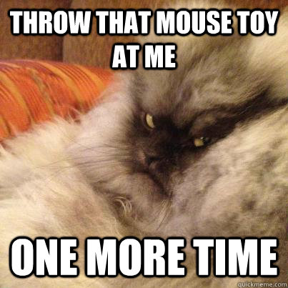 Throw that mouse toy at me one more time - Throw that mouse toy at me one more time  Unamused Caat