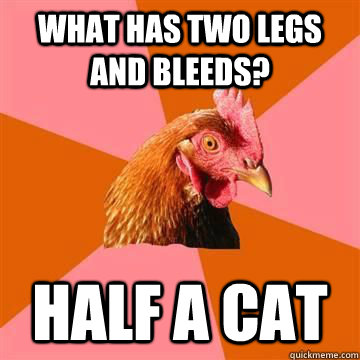 What has two legs and bleeds? Half a cat  