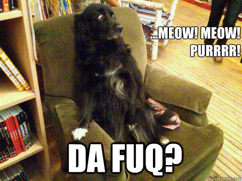 ...Meow! Meow! 
PURRRR! da fuq?  scared dog