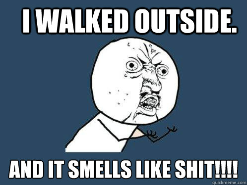 I walked outside. And it smells like shit!!!!  Y U No