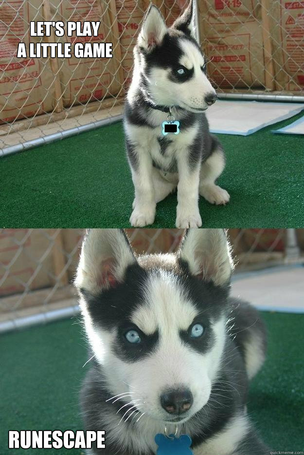 LET'S PLAY 
A LITTLE GAME RUNESCAPE  Insanity puppy