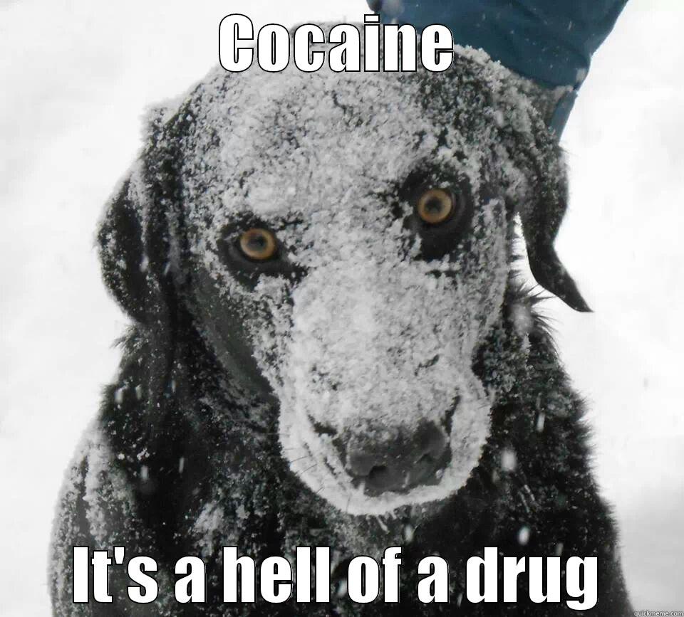 COCAINE IT'S A HELL OF A DRUG Misc