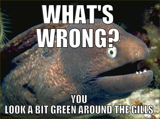 WHAT'S WRONG? YOU LOOK A BIT GREEN AROUND THE GILLS Bad Joke Eel