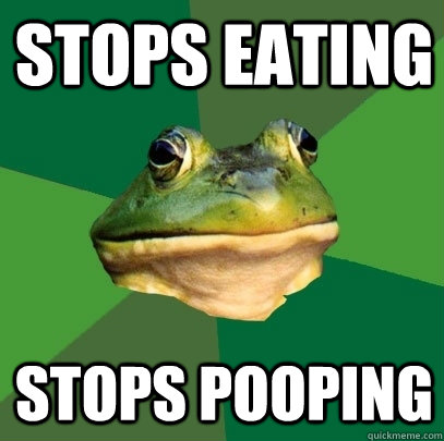 Stops eating stops pooping  Foul Bachelor Frog