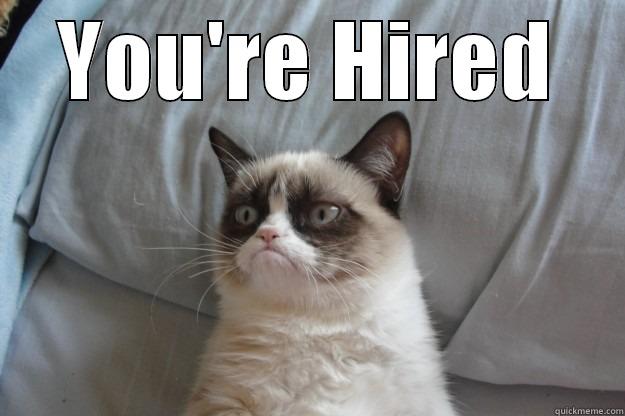 You're hired - YOU'RE HIRED  Grumpy Cat