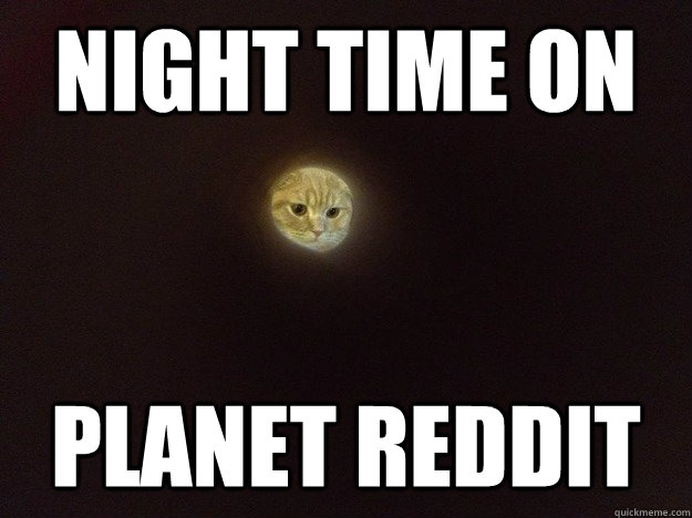 Night time on Planet Reddit  Moon Cat