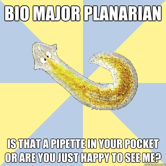Bio major planarian is that a pipette in your pocket or are you just happy to see me?  