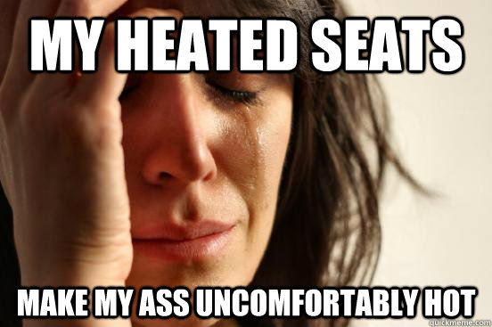My heated seats make my ass uncomfortably hot  First World Problems