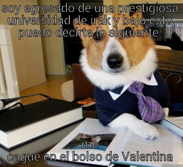 SOY EGRESADO DE UNA PRESTIGIOSA UNIVERSIDAD DE IRAK Y BAJO ESTO PUEDO DECIRTE LO SIGUIENTE  ME CAGUE EN EL BOLSO DE VALENTINA Lawyer Dog