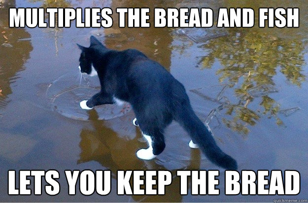 Multiplies the bread and fish Lets you keep the bread - Multiplies the bread and fish Lets you keep the bread  Jesus Cat