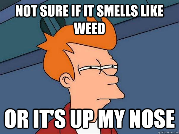 Not sure if it smells like weed Or it's up my nose  Futurama Fry