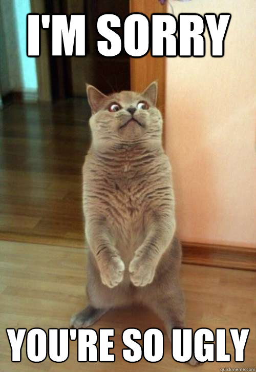 i'm sorry you're so ugly  Horrorcat