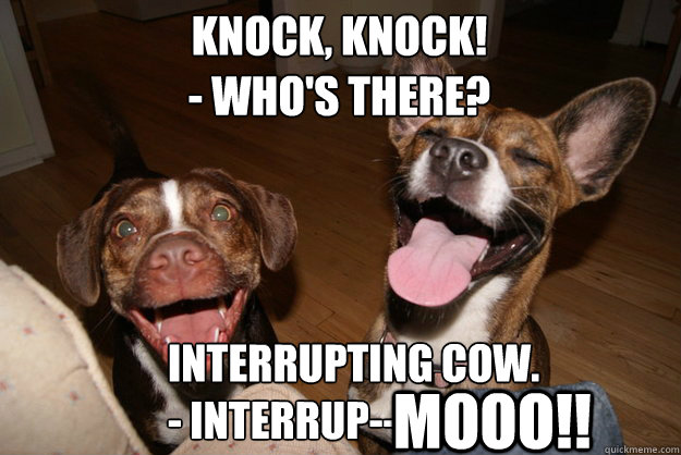 KNOCK, KNOCK!
- WHO'S THERE? Interrupting Cow.
- Interrup--             MOOO!! - KNOCK, KNOCK!
- WHO'S THERE? Interrupting Cow.
- Interrup--             MOOO!!  Clean Joke Puppies