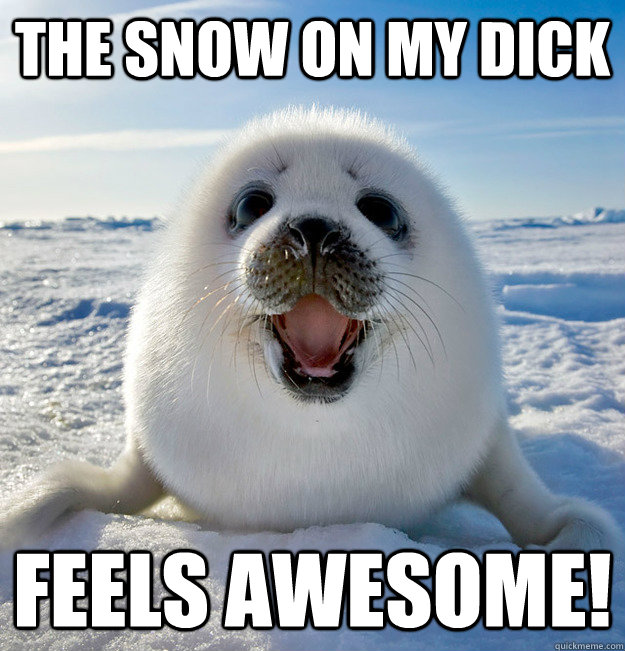 The snow on my dick feels awesome!  Easily Pleased Seal
