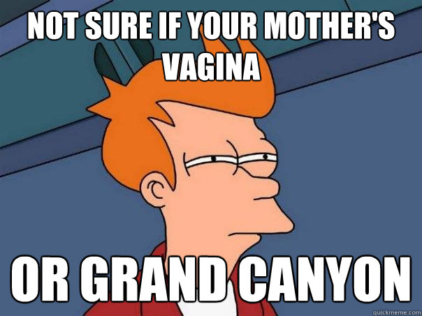 Not sure if your mother's vagina or grand canyon  Futurama Fry