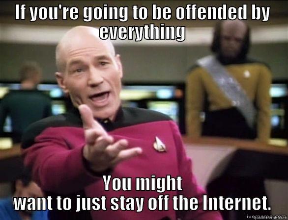 Offended? Stay off the Internet. - IF YOU'RE GOING TO BE OFFENDED BY EVERYTHING YOU MIGHT WANT TO JUST STAY OFF THE INTERNET. Annoyed Picard HD