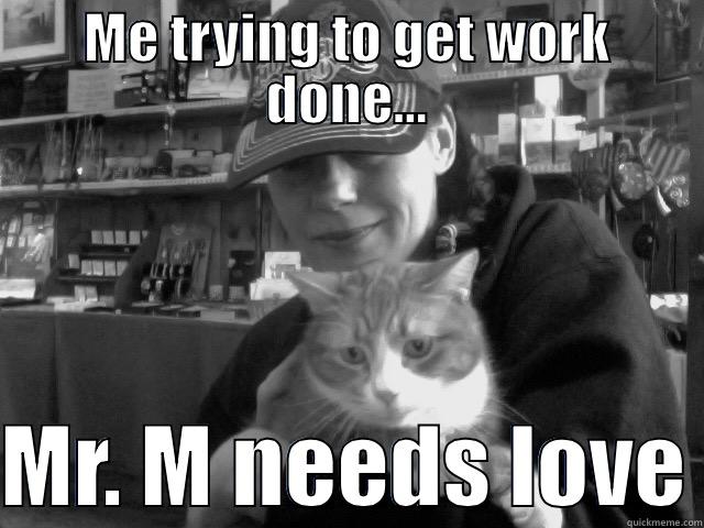 ME TRYING TO GET WORK DONE...  MR. M NEEDS LOVE Misc