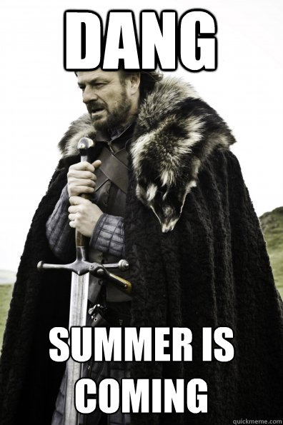 DANG Summer is coming  Game of Thrones