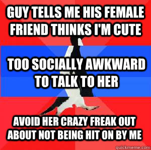 Guy tells me his female friend thinks I'm cute Too socially awkward to talk to her Avoid her crazy freak out about not being hit on by me  Socially awesome awkward awesome penguin